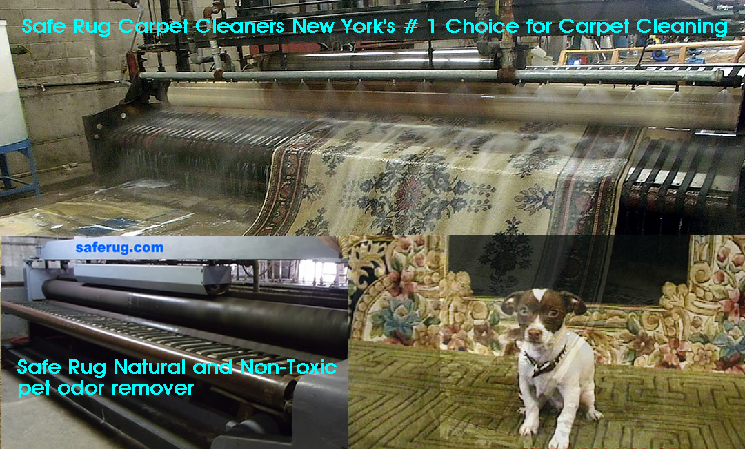 New York Carpet Cleaners safe rug pet odor removal
